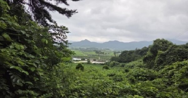 전북특별자치도 고창군 성송면 판정리 481  미지정 경매 물건 이미지