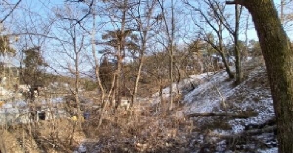 경기도 하남시 춘궁동 398-24 임야 경매 물건 이미지