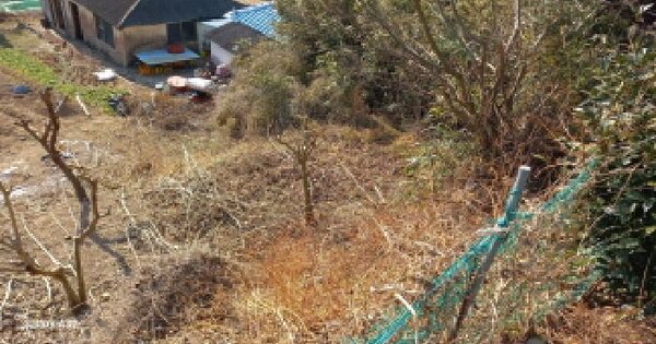 경상남도 거제시 연초면 다공리 746 대지 경매 물건 이미지