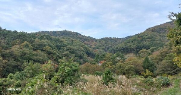 경상남도 거제시 아주동 산68-3 임야 경매 물건 이미지