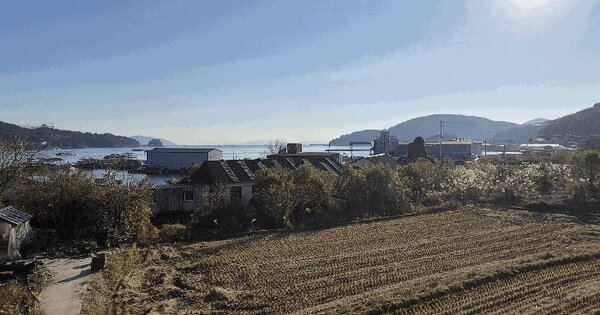 경상남도 고성군 동해면 양촌리 626-3 답 경매 물건 이미지