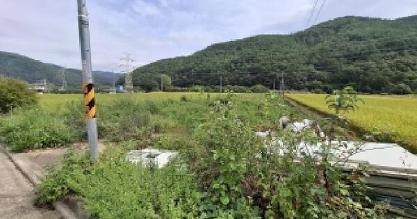 경상남도 사천시 정동면 소곡리 536-5 답 경매 물건 이미지