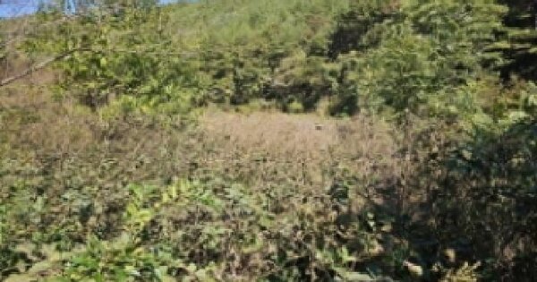 경상남도 산청군 생비량면 화현리 1289 전 경매 물건 이미지