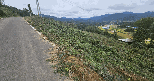 경상남도 산청군 차황면 부리 산79-10 임야 경매 물건 이미지