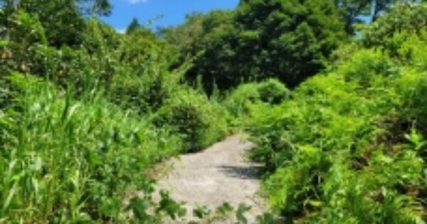 경상남도 하동군 옥종면 회신리 557-4 전 경매 물건 이미지