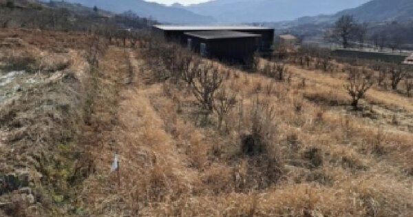 경상남도 하동군 악양면 중대리 659 답 경매 물건 이미지