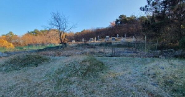 전북특별자치도 전주시 완산구 석구동 154-26 전 경매 물건 이미지