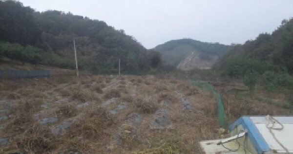 전북특별자치도 임실군 신덕면 오궁리 769 전 경매 물건 이미지