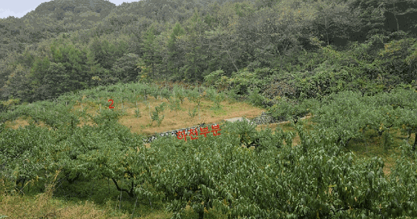 전북특별자치도 임실군 신덕면 오궁리 764 답 경매 물건 이미지