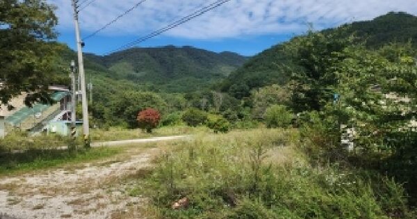 전북특별자치도 무주군 설천면 삼공리 303 전 경매 물건 이미지