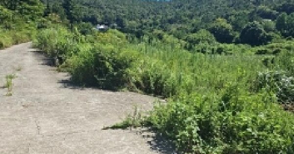 전남광주통합특별시 완도군 완도읍 망석리 380 전 경매 물건 이미지