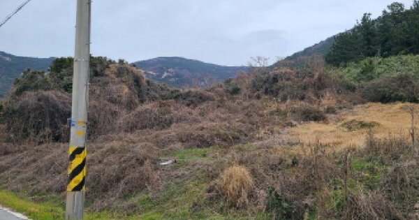 전남광주통합특별시 완도군 보길면 정자리 872 전 경매 물건 이미지
