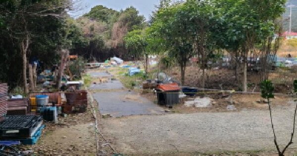 전남광주통합특별시 완도군 보길면 정자리 877-5 전 경매 물건 이미지