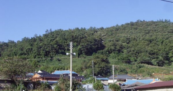 전라남도 해남군 화원면 후산리 산384-3 임야 경매 물건 이미지