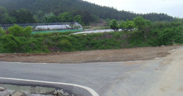 전남광주통합특별시 완도군 고금면 가교리 936 전 경매 물건 이미지