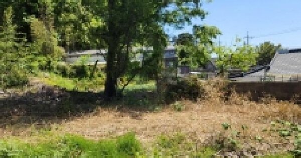 전남광주통합특별시 여수시 봉계동 356-7 대지 경매 물건 이미지