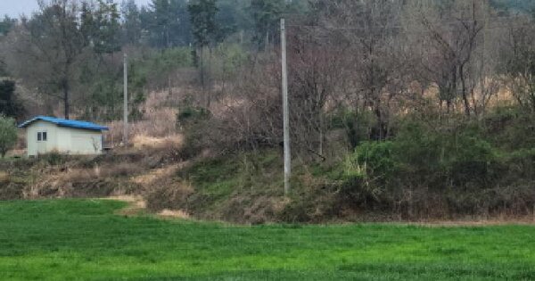 전남광주통합특별시 고흥군 도덕면 도덕리 산150-1 임야 경매 물건 이미지