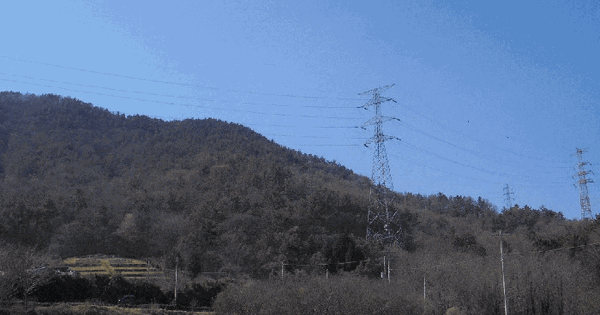 전남광주통합특별시 여수시 율촌면 산수리 산80-8 임야 경매 물건 이미지