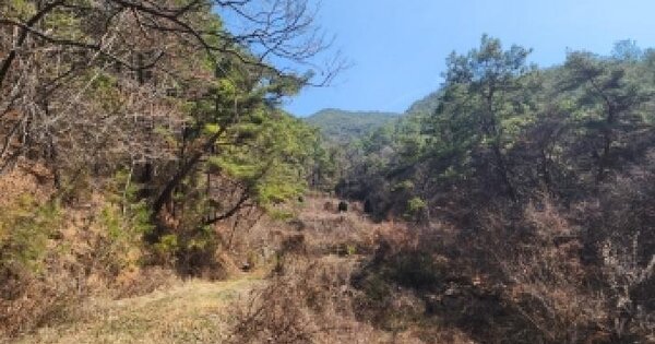 전남광주통합특별시 순천시 주암면 운룡리 603 전 경매 물건 이미지