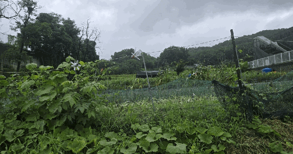 경기도 평택시 지산동 105  미지정 경매 물건 이미지
