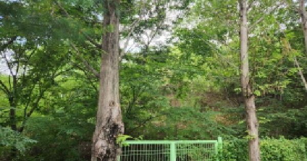 경상북도 경산시 하양읍 도리리 8  미지정 경매 물건 이미지