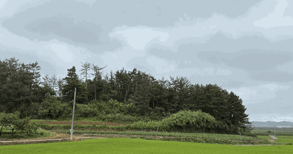 충청남도 태안군 남면 양잠리 산236  미지정 경매 물건 이미지