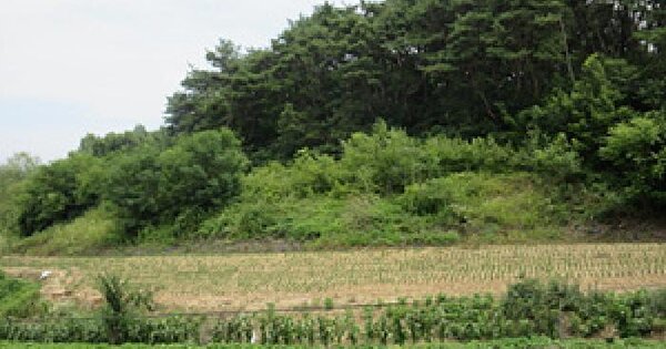 경상북도 예천군 예천읍 동본리 105-2  미지정 경매 물건 이미지