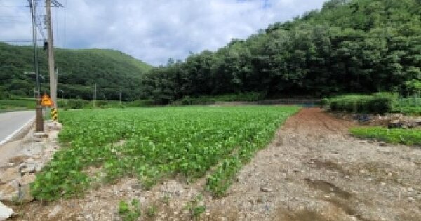 강원특별자치도 정선군 신동읍 고성리 693-1  미지정 경매 물건 이미지