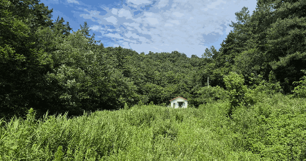 충청남도 부여군 석성면 현내리 905  미지정 경매 물건 이미지
