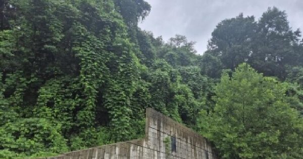 경기도 화성시 동탄구 금곡동 488-12  미지정 경매 물건 이미지