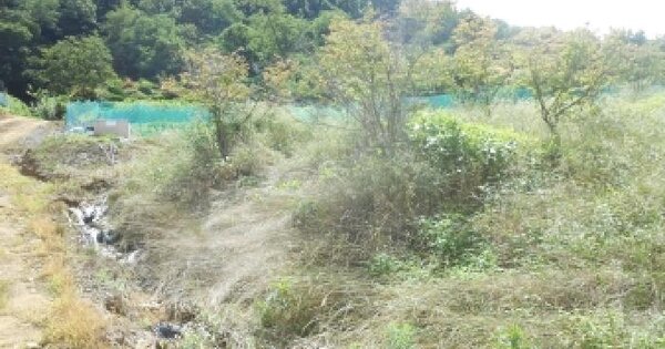 세종특별자치시  연기면 연기리 10-2  미지정 경매 물건 이미지