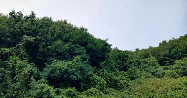 경기도 여주시 대신면 장풍리 146-2  미지정 경매 물건 이미지