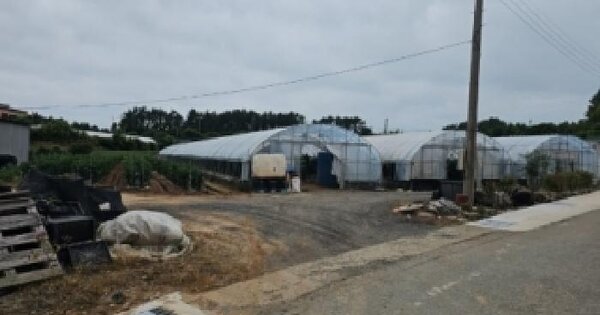 전라남도 해남군 화산면 평호리 461-1  미지정 경매 물건 이미지