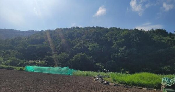 전라남도 여수시 돌산읍 율림리 산219-3  미지정 경매 물건 이미지