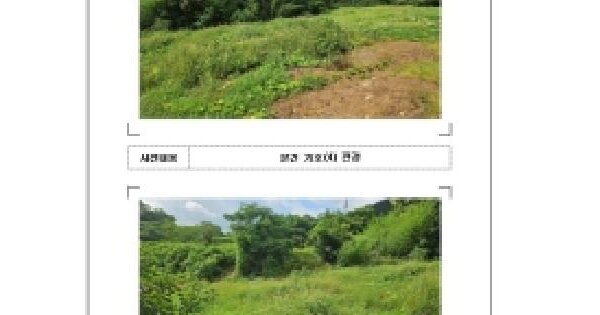 전남광주통합특별시 무안군 삼향읍 남악리 2072 오룡마을휴먼시아 202동 20층2004호 미지정 경매 물건 이미지