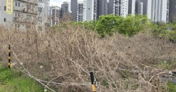 경기도 파주시 와동동 1490-1 대지 경매 물건 이미지