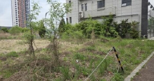 경기도 파주시 와동동 1490-2 대지 경매 물건 이미지