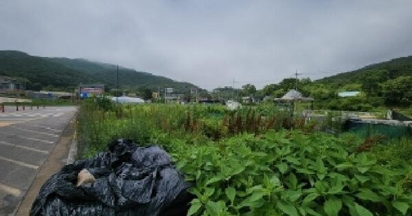 인천광역시 영종구 무의동 210-1 답 경매 물건 이미지