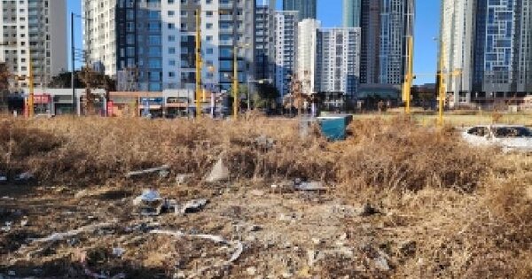 경기도 평택시 고덕동 2623-6 대지 경매 물건 이미지