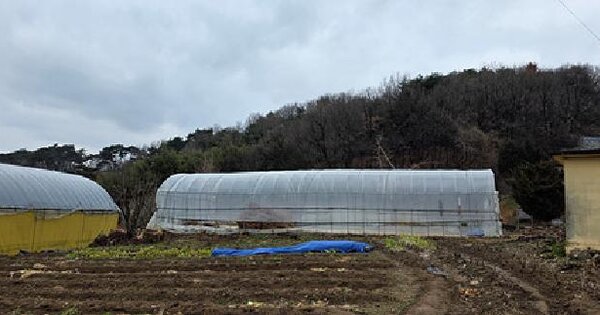 충청남도 홍성군 장곡면 지정리 OOOOO 전 경매 물건 이미지