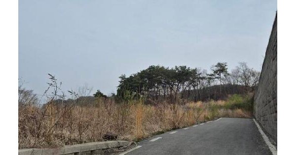 전남광주통합특별시 장성군 삼서면 수양리 20-4 임야 경매 물건 이미지