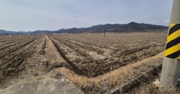 전남광주통합특별시 영광군 묘량면 운당리 1303-19 답 경매 물건 이미지