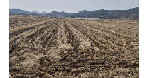 전남광주통합특별시 영광군 묘량면 운당리 1303-18 답 경매 물건 이미지
