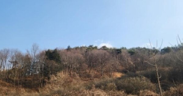 전남광주통합특별시 곡성군 삼기면 월경리 산11 임야 경매 물건 이미지