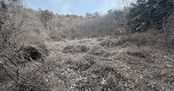 전남광주통합특별시 곡성군 삼기면 월경리 334-1 전 경매 물건 이미지