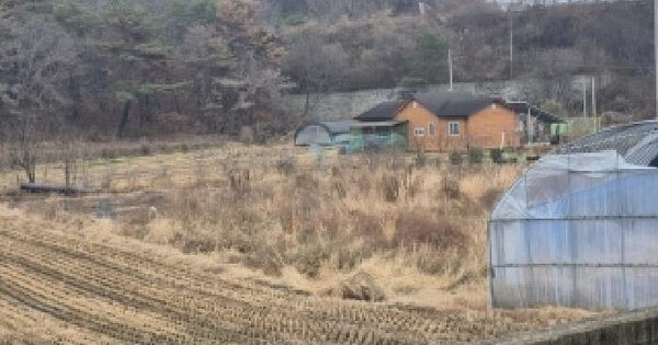 전남광주통합특별시 장성군 서삼면 용흥리 OOO 답 경매 물건 이미지