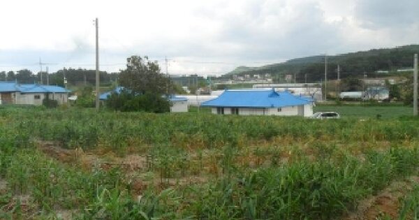 충청남도 서산시 부석면 강수리 663-1 답 경매 물건 이미지