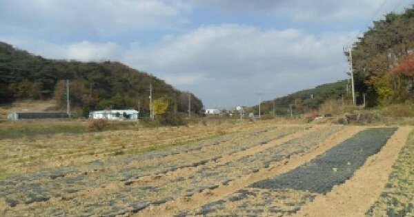 충청남도 태안군 고남면 장곡리 354-5 전 경매 물건 이미지