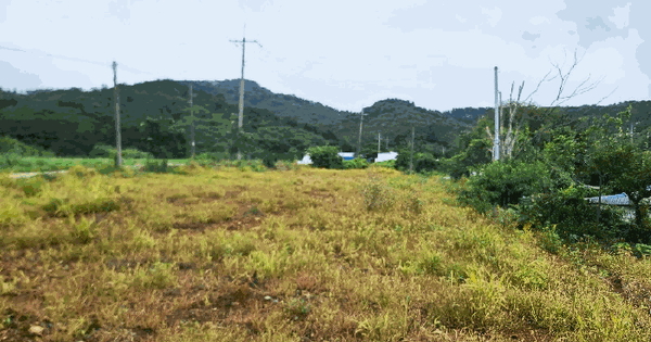 충청남도 당진시 대호지면 마중리 438 전 경매 물건 이미지