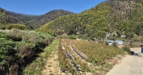 경상북도 의성군 단촌면 구계리 449 전 경매 물건 이미지